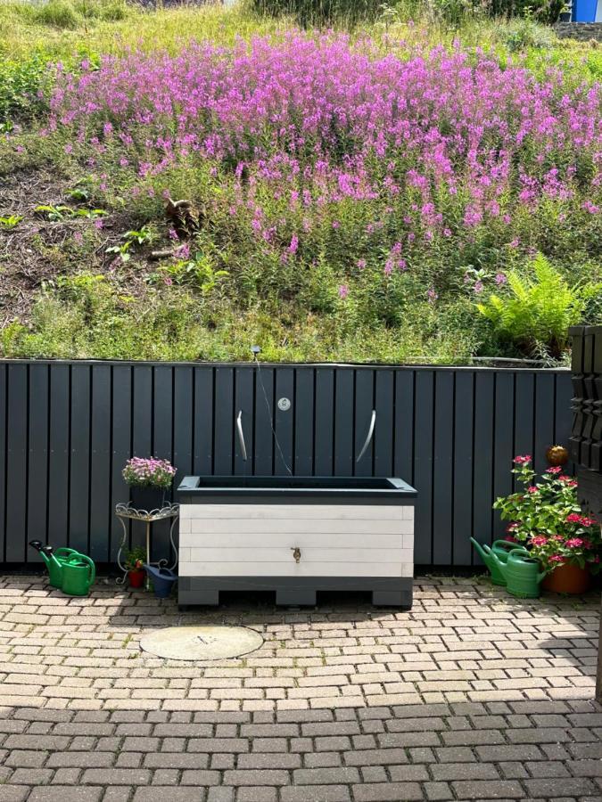 Modernes Top Apartment Mitten Im Bayerischen Wald + Wlan Kostenfrei Schöfweg Extérieur photo