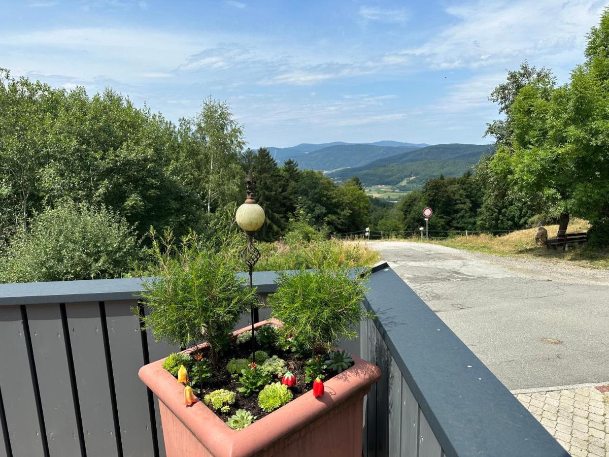 Modernes Top Apartment Mitten Im Bayerischen Wald + Wlan Kostenfrei Schöfweg Extérieur photo