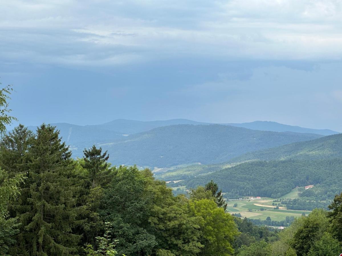 Modernes Top Apartment Mitten Im Bayerischen Wald + Wlan Kostenfrei Schöfweg Extérieur photo